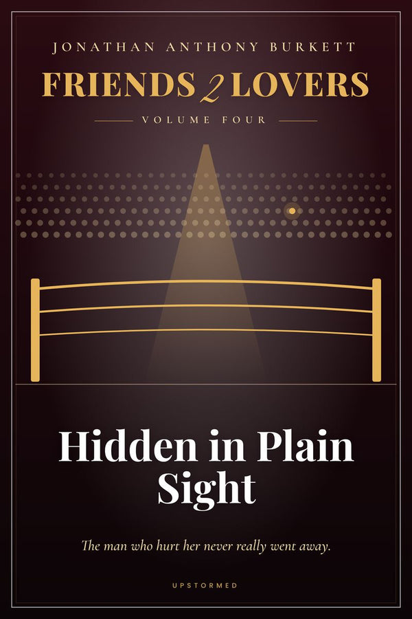Friends 2 Lovers: Hidden in Plain Sight Book Series