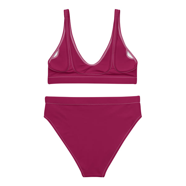 Burgundy Upstormed High-Waisted Bikini