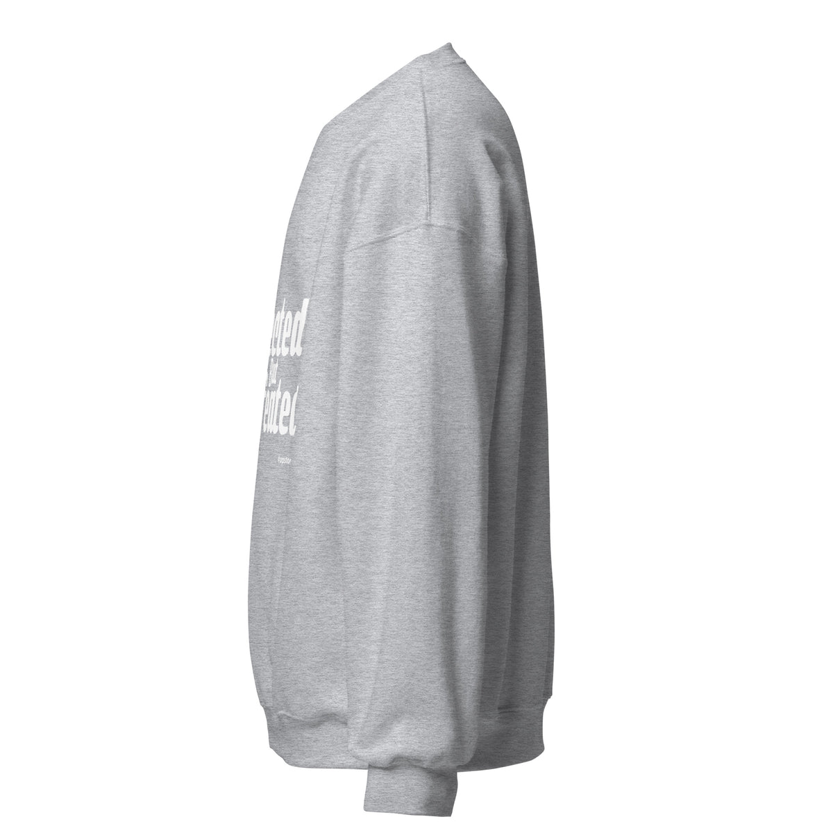 Neglected But Undefeated Upstormed Sweatshirt