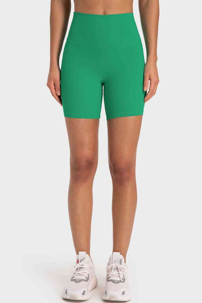 Staying Cozy Wide Waistband Biker Shorts – product image 13